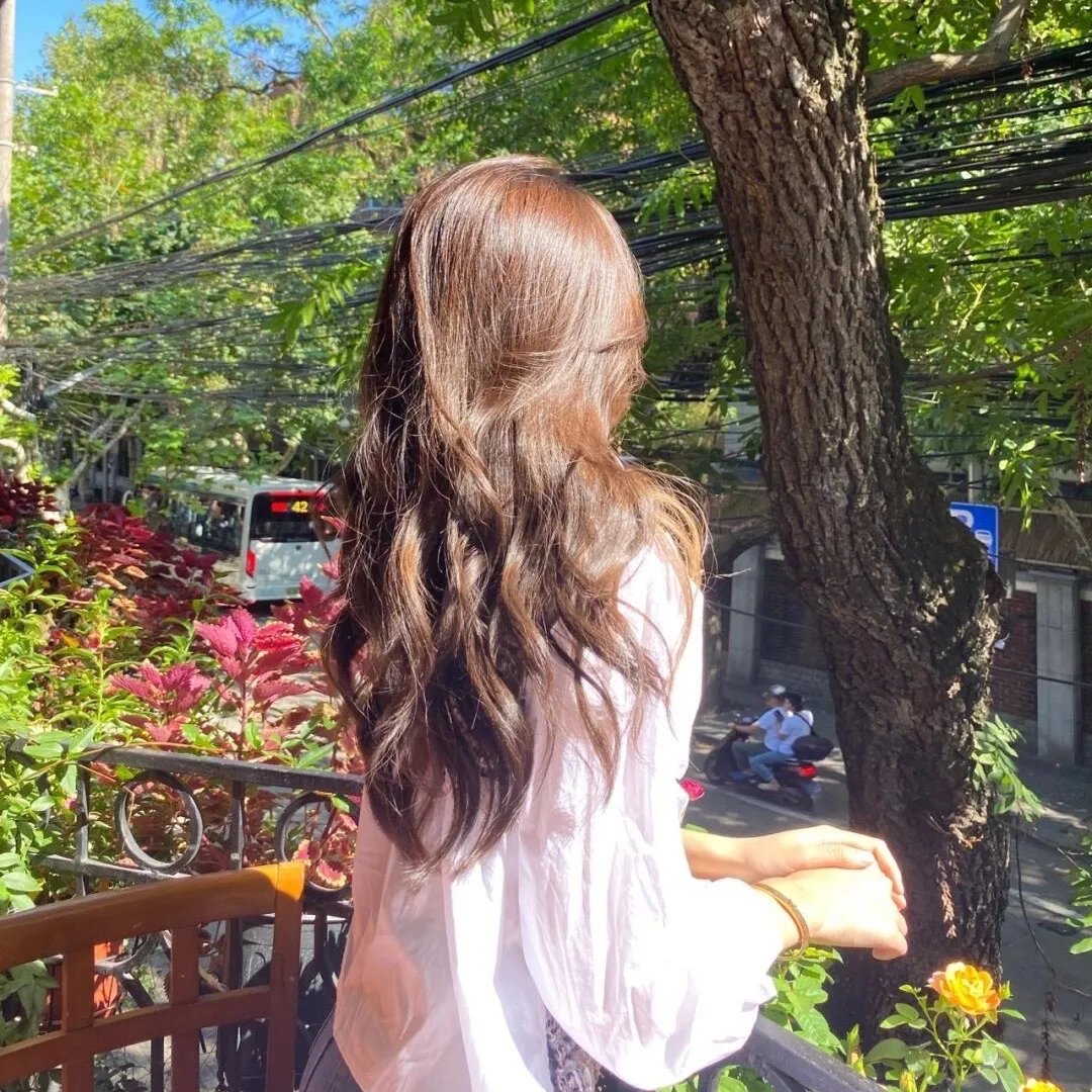 春情妃子